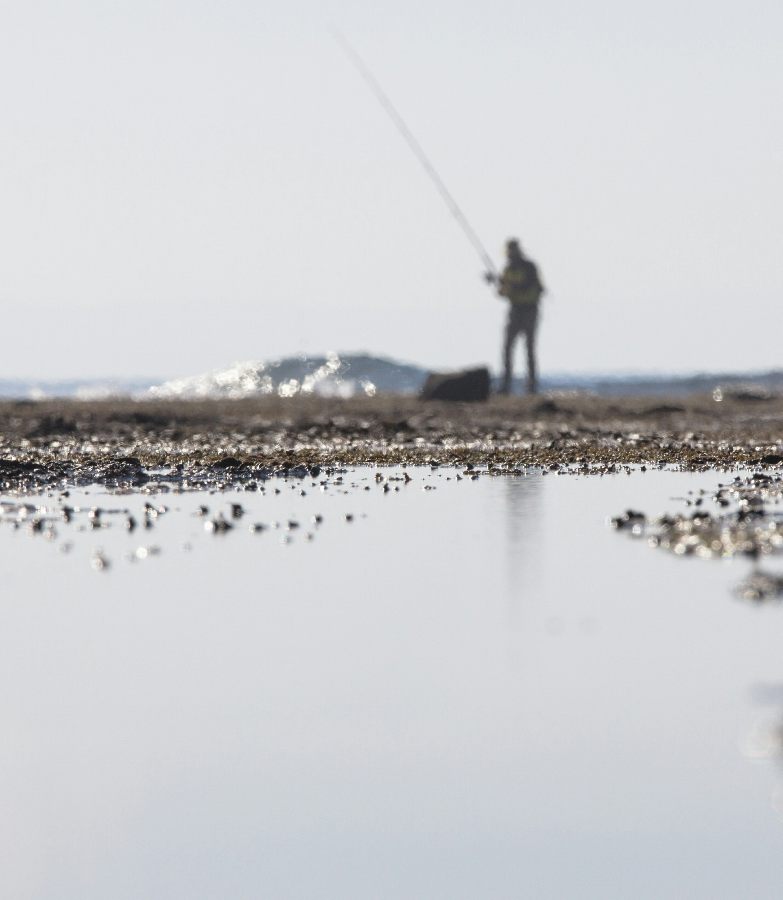 man walking on brown sand with body of water